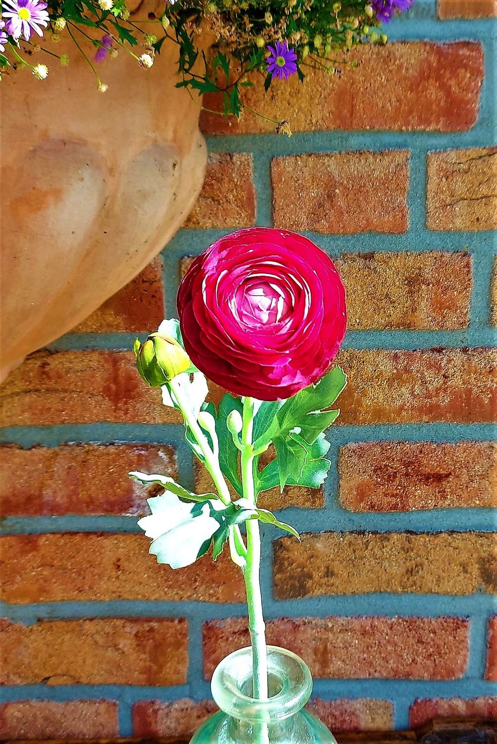Künstliche Ranunkel Blume, 51 cm, trendy purple