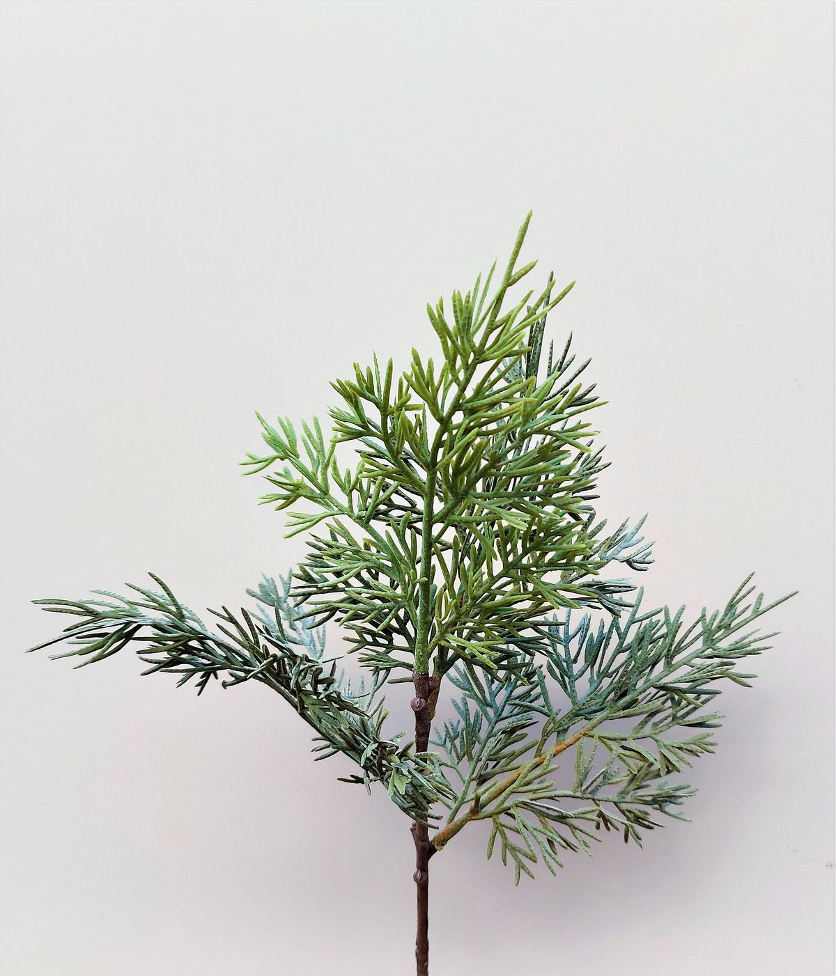 Unechter Zedernzweig, 38 cm, grün