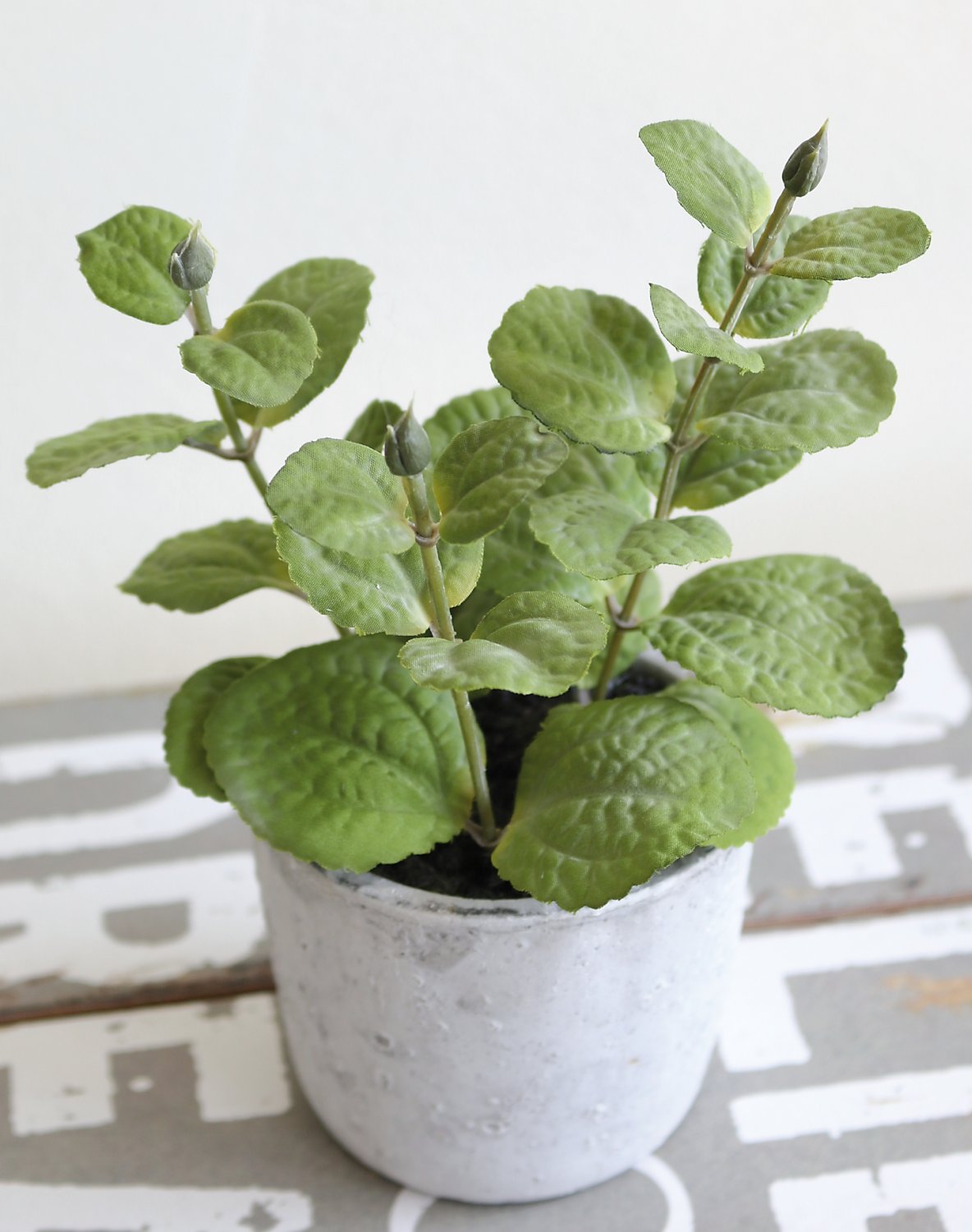 Menta artificiale, in vaso, 19 cm, verde