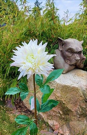 Artificial dahlia flower, 74 cm, cream-white