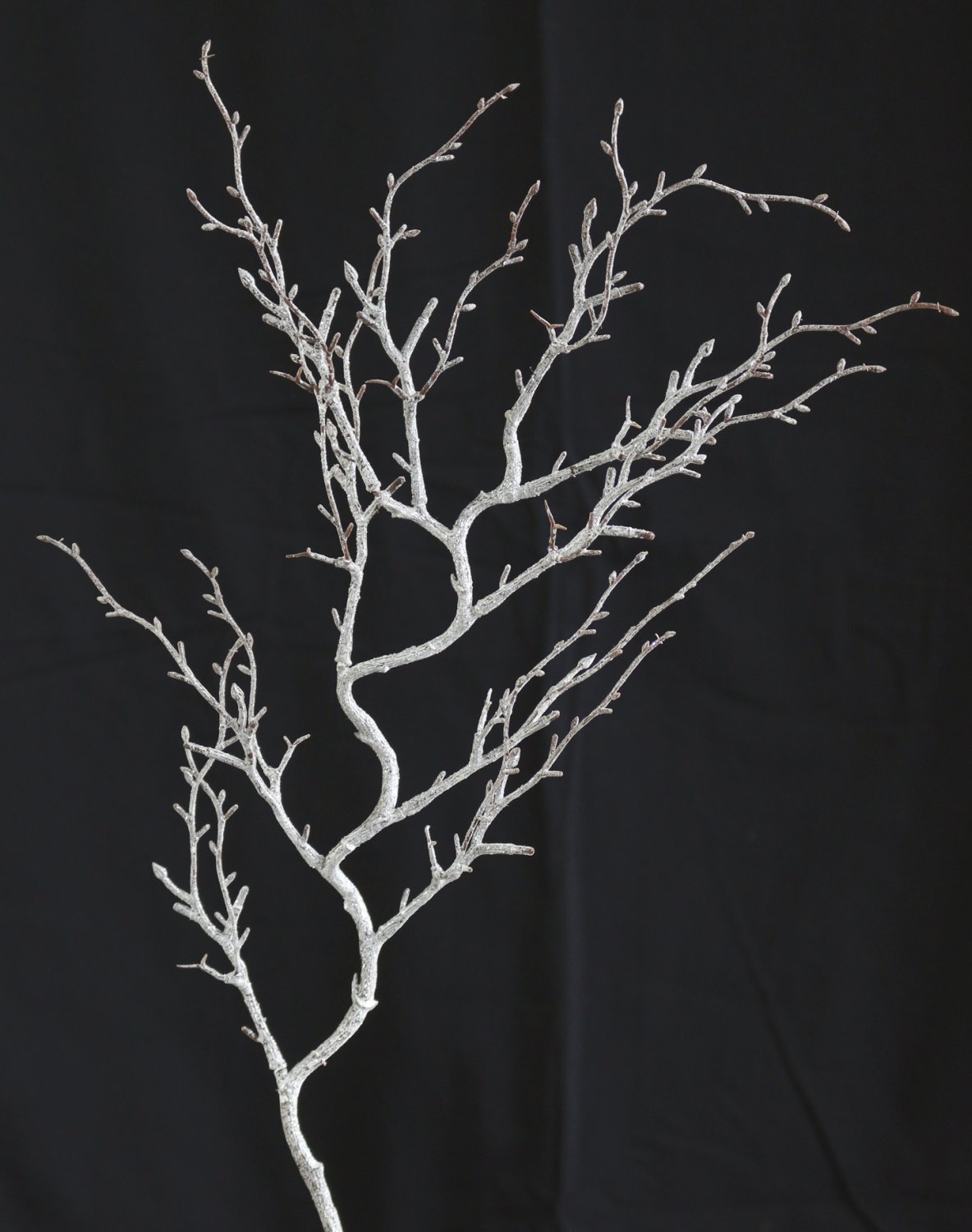 Silk twig, 76 cm, frosted brown