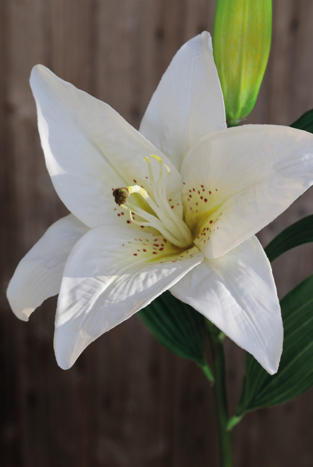 Faux lily, 45 cm, white-green