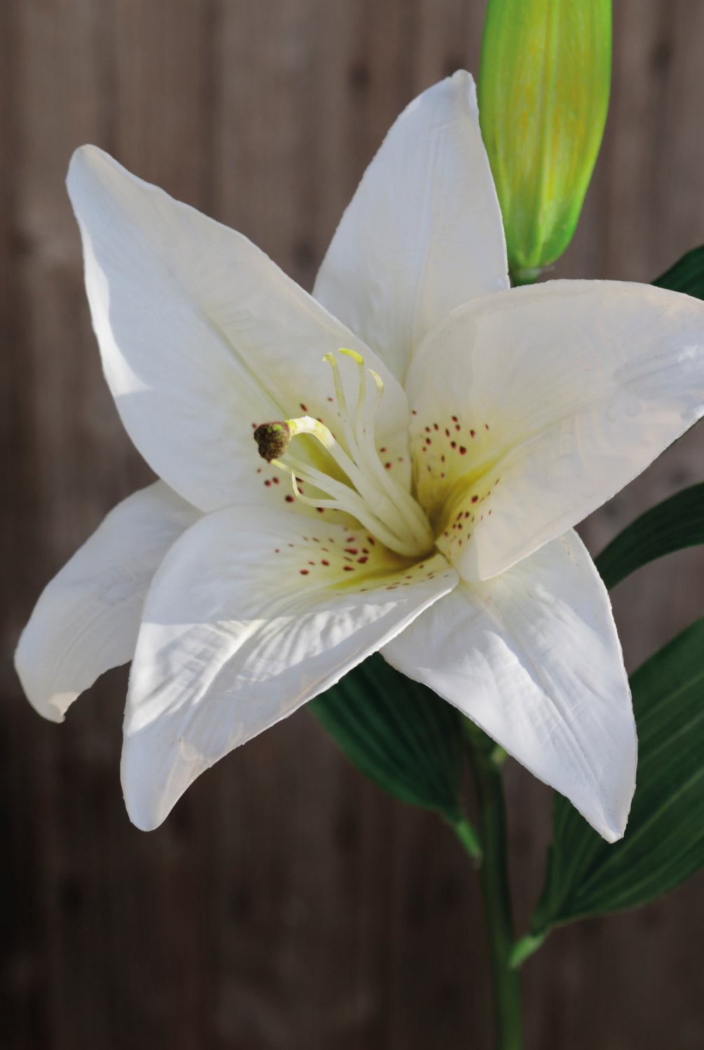 Giglio artificiale, 45 cm, bianco-verde