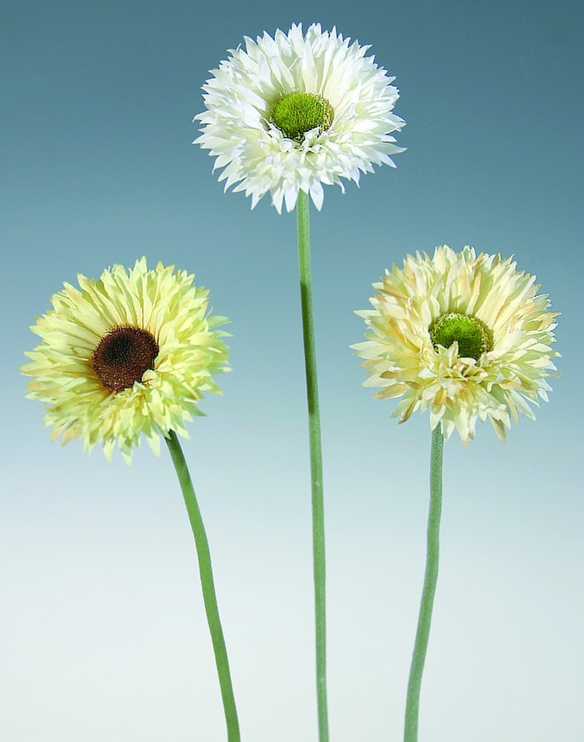 Künstliche Gerbera mit beflocktem Stiel, 46 cm, aprikose