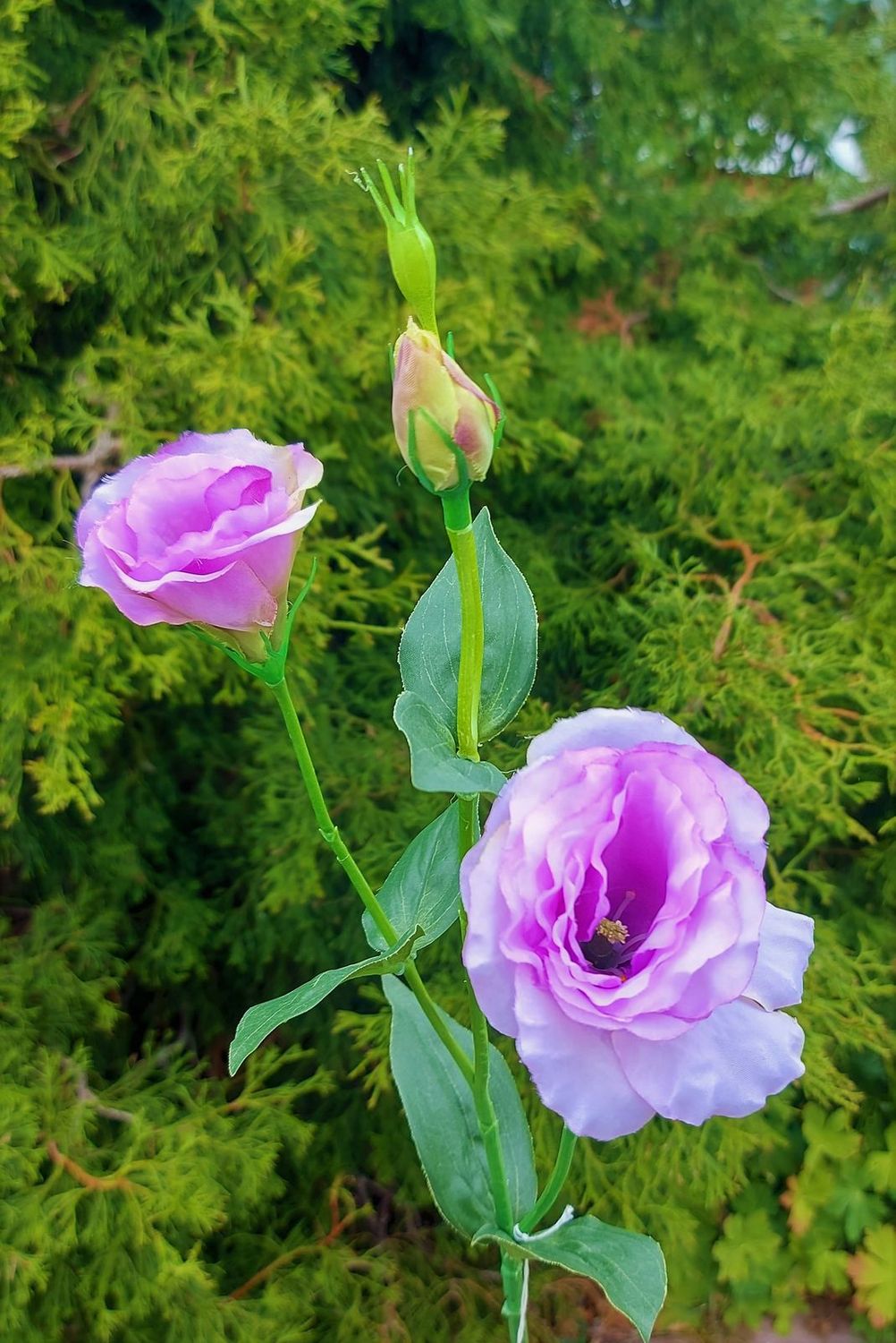 Lisianthus artificial, 67 cm, violeta claro Lisianthus artificial, 67 cm, violeta claro