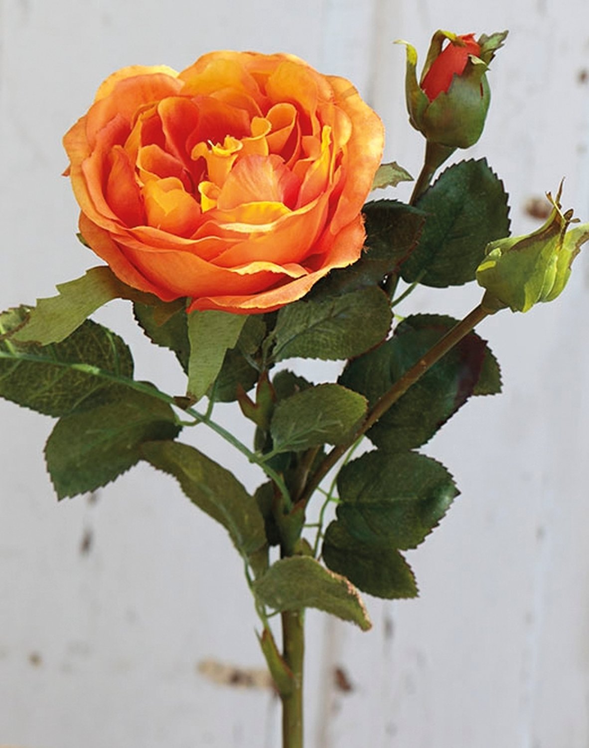 False rose, 1 flower, 2 buds, 30 cm, orange