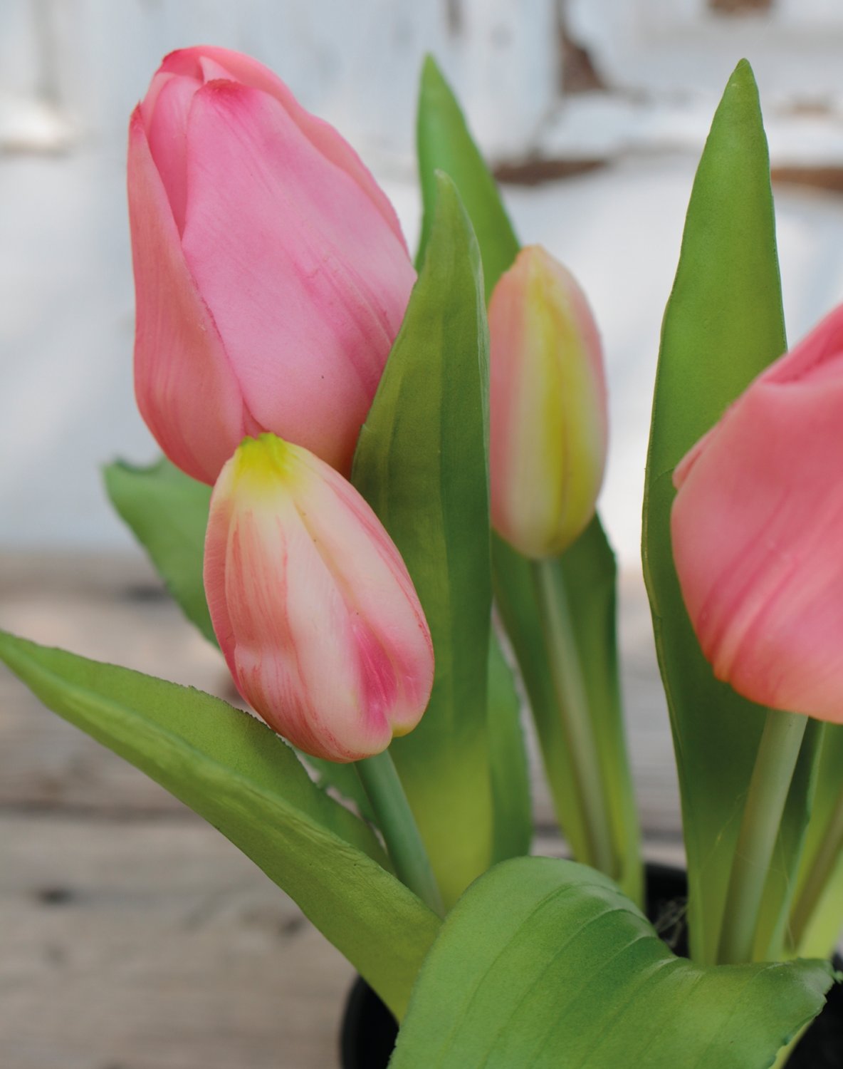 Künstliche Tulpen, getopft, 5-fach, 25 cm, Real Touch, rosa-grün