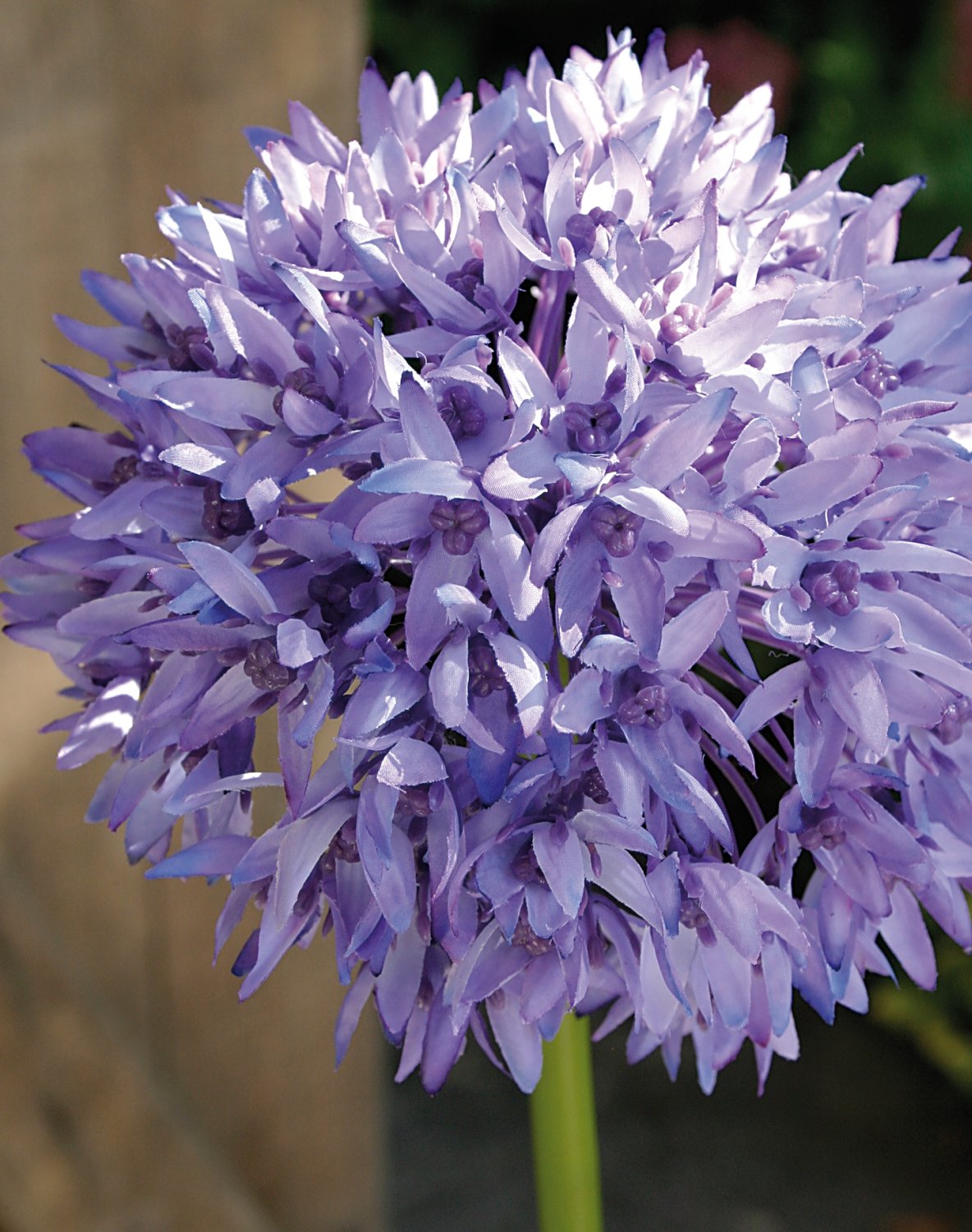 Artificial allium, 71 cm, light violet-dark violet