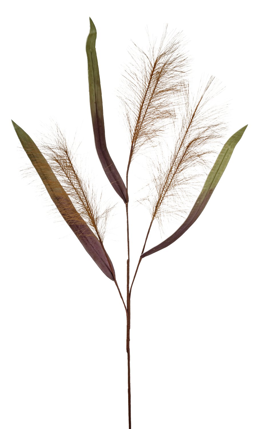 Deko Soft flower 'Schilfgras', 110 cm, braun