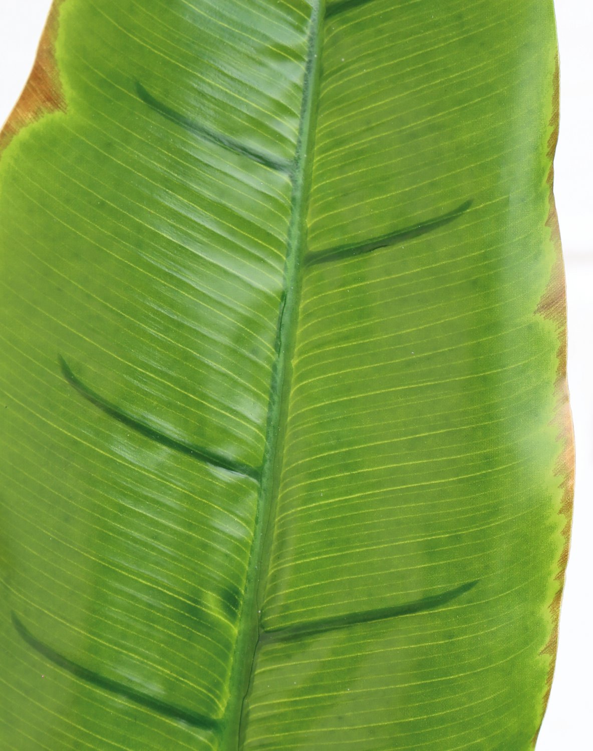 Foglia di banano artificiale, 96 cm (foglia 38 cm), verde