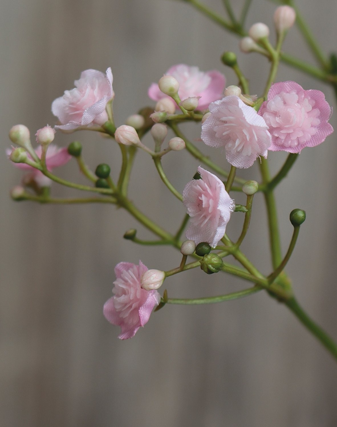 Gypsophilia artificiale, 70 cm, rosa-verde