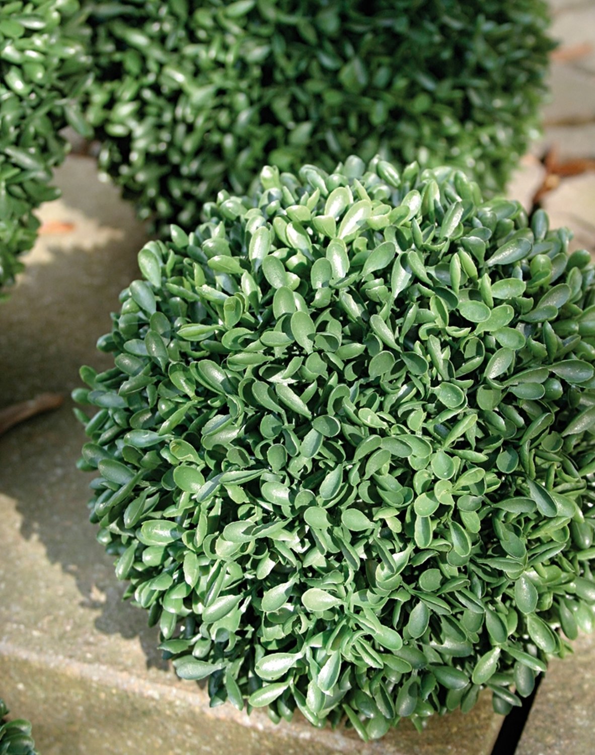 Artificial box tree ball, synthetic material, Ø 15 cm, green Artificial box tree ball, synthetic material, Ø 15 cm, green