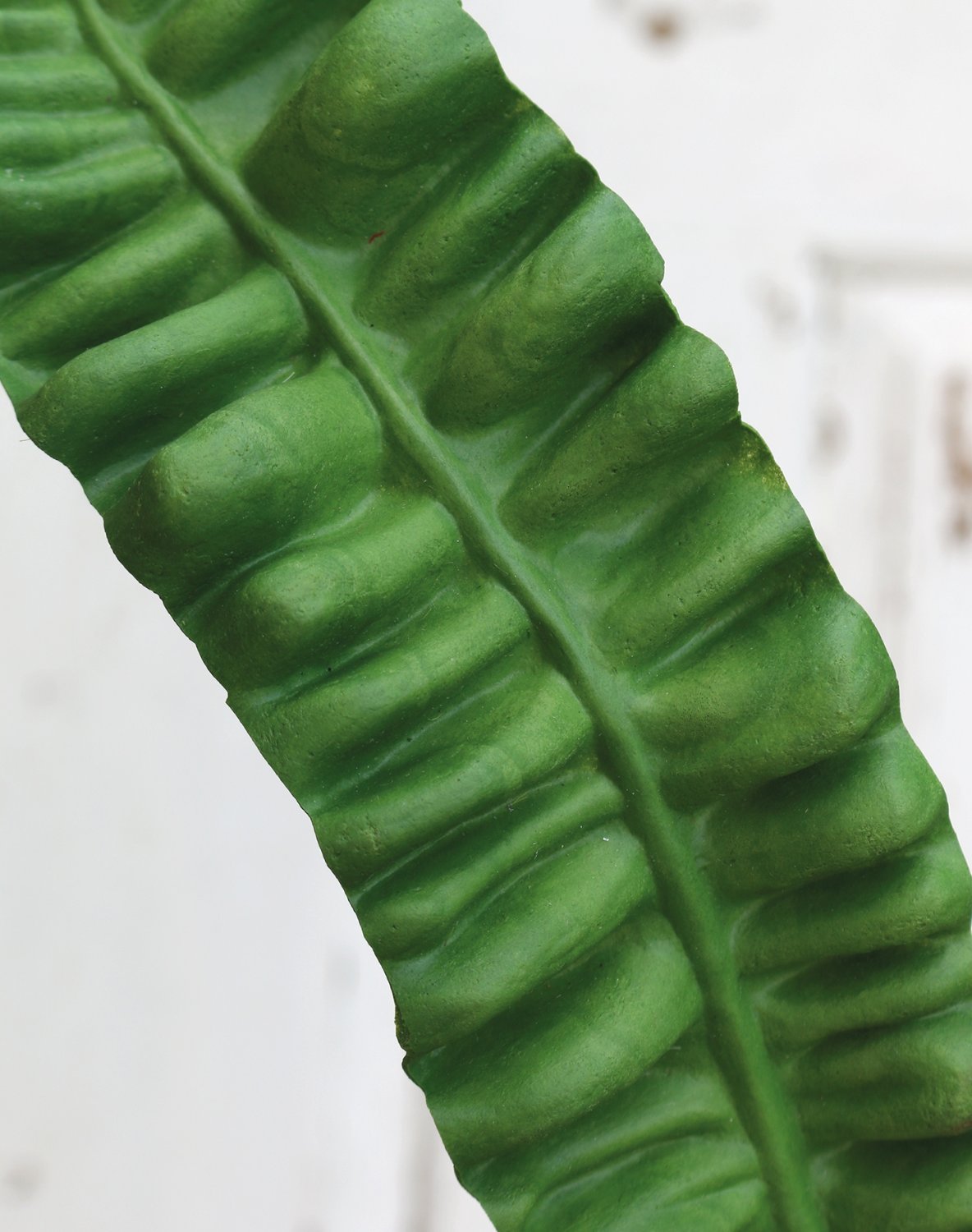 Artificial nest fern leaf, 97 cm, green