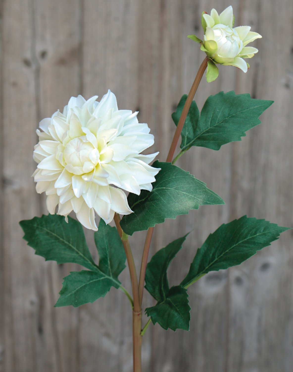 Plastic dahlia, 56 cm, beige-white