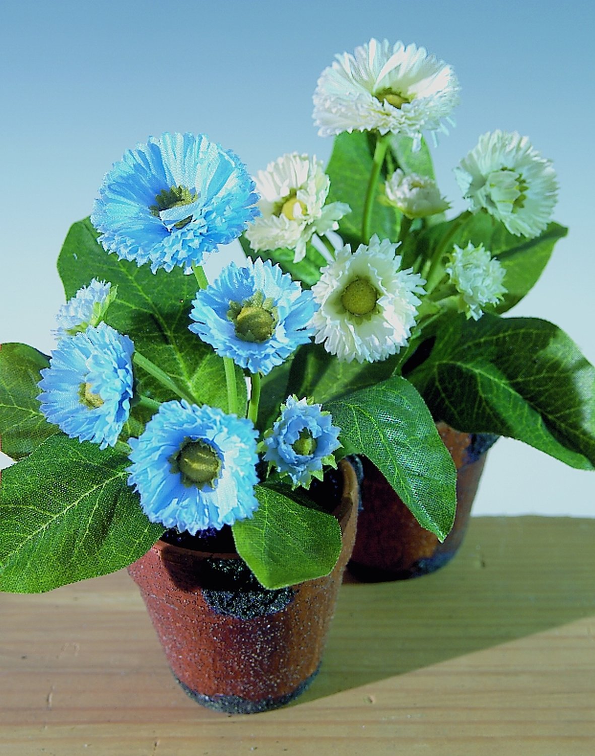 Künstliche Bellis, getopft, 6-fach, 15 cm, hellblau