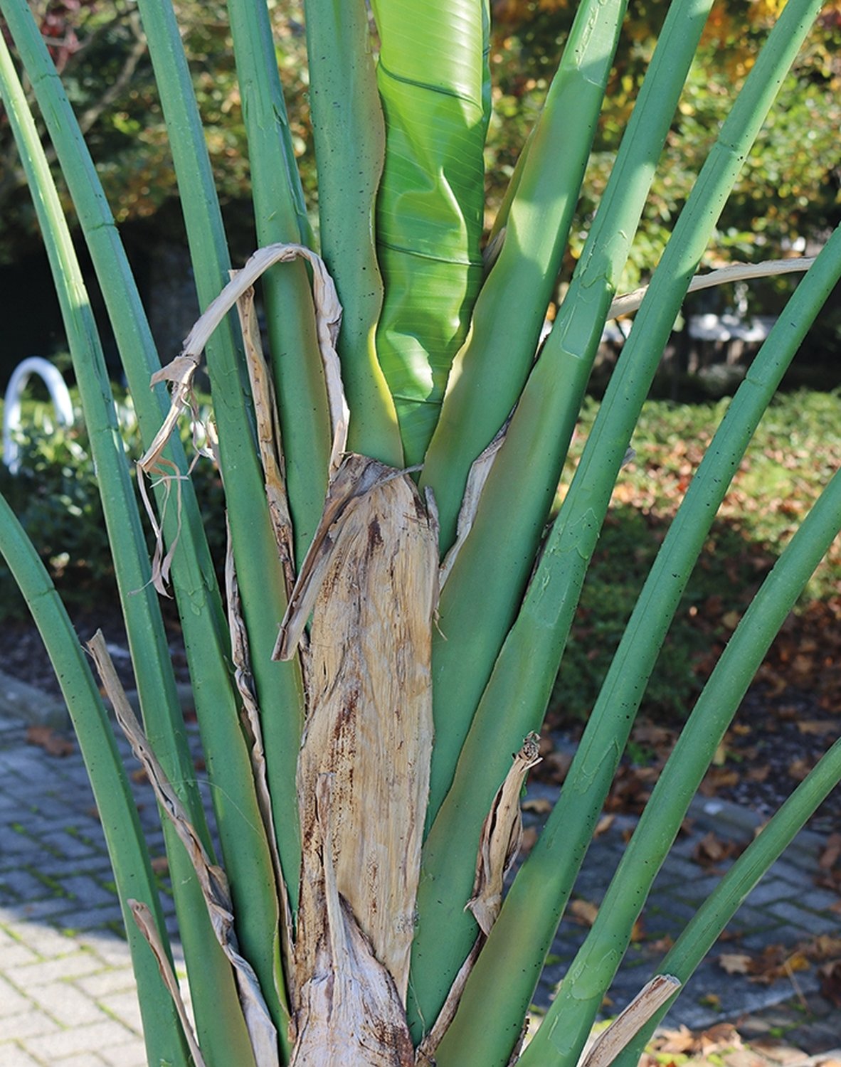 Faux heliconia, potted, 300 cm, green