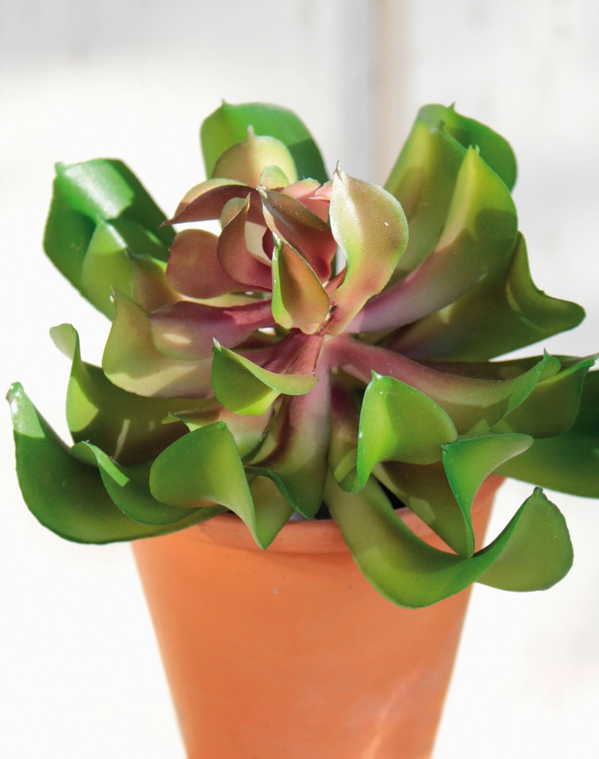 Aeonium artificiale su gambo, 13 cm, Ø 10 cm, verde