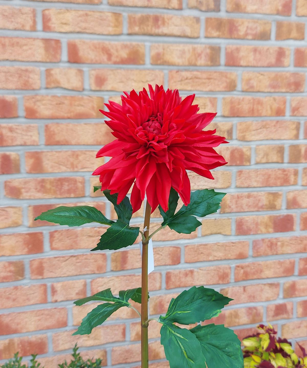 Artificial dahlia, 74 cm, red