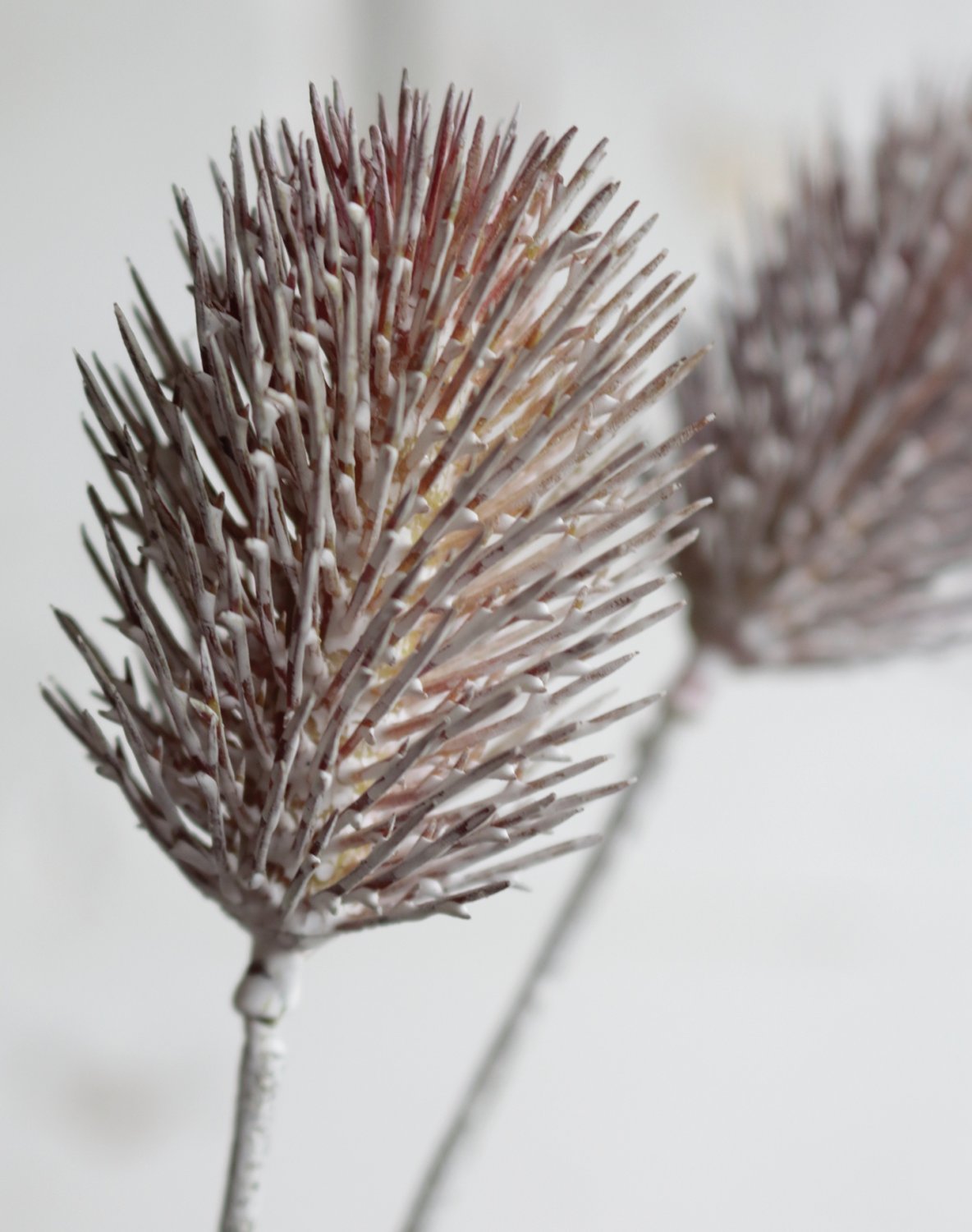 Artificial thistle, 80 cm, grey