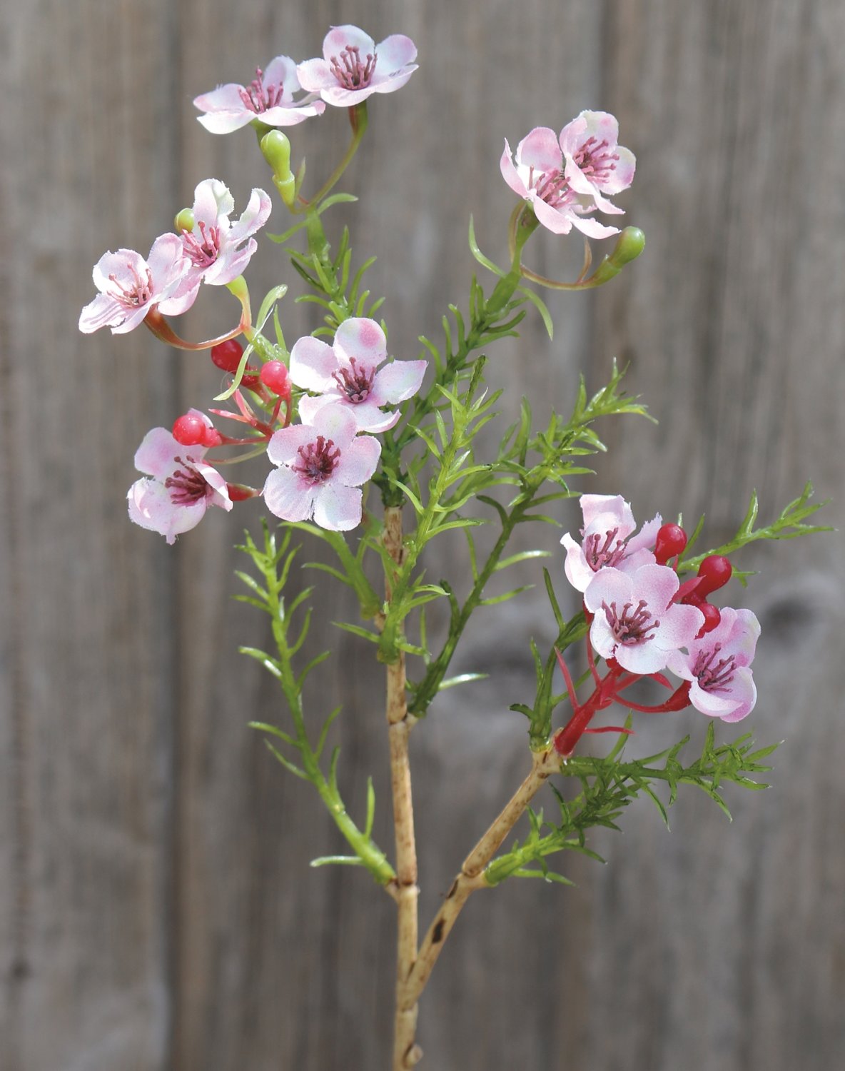 Künstliche Wachsblume, 25 cm, rosa