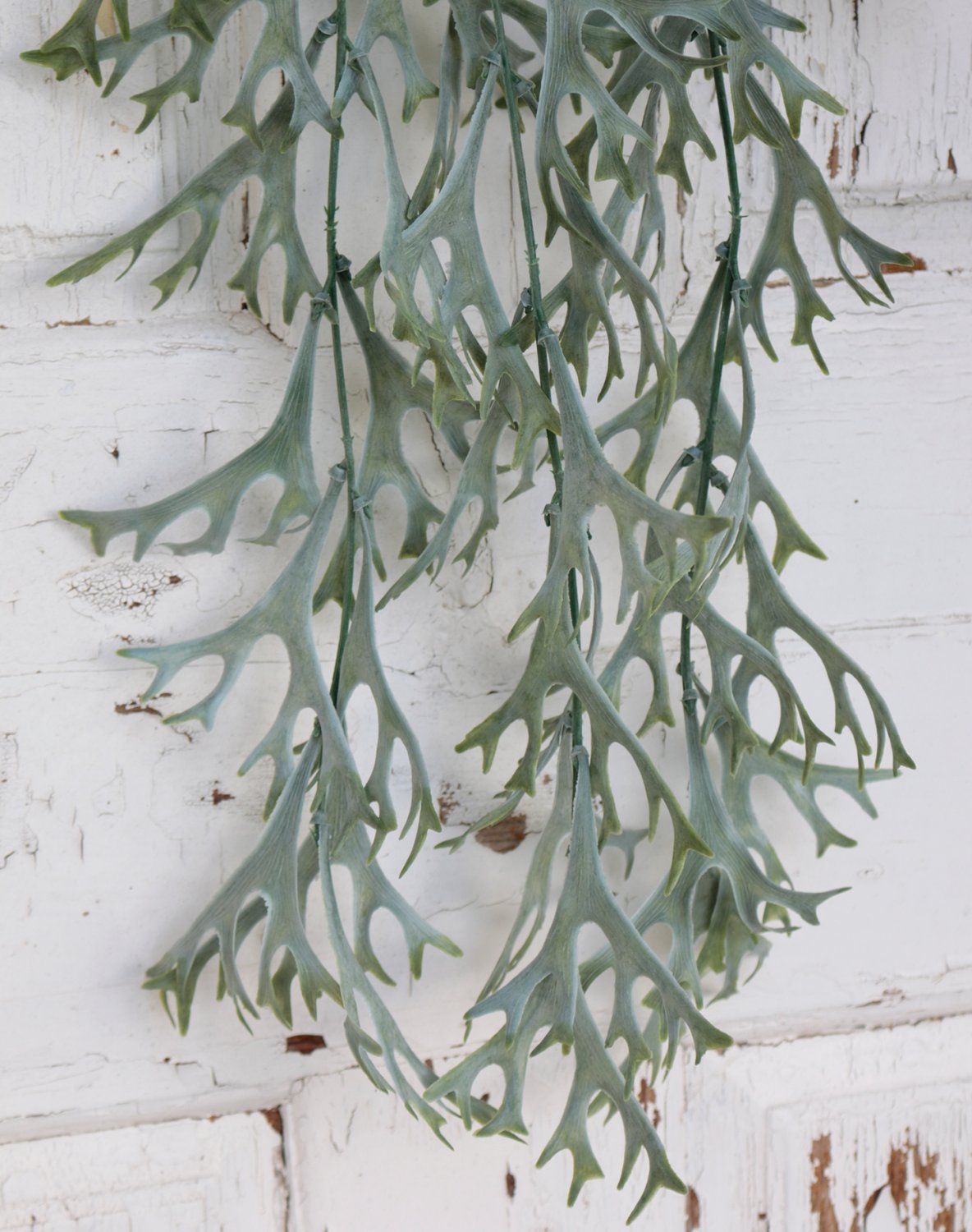 Fake staghorn fern hanger, 80 cm, green-grey