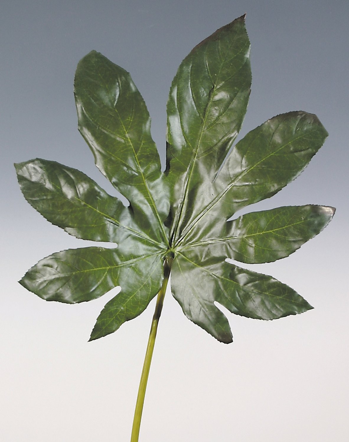Faux aralia leaf, 69 cm, green