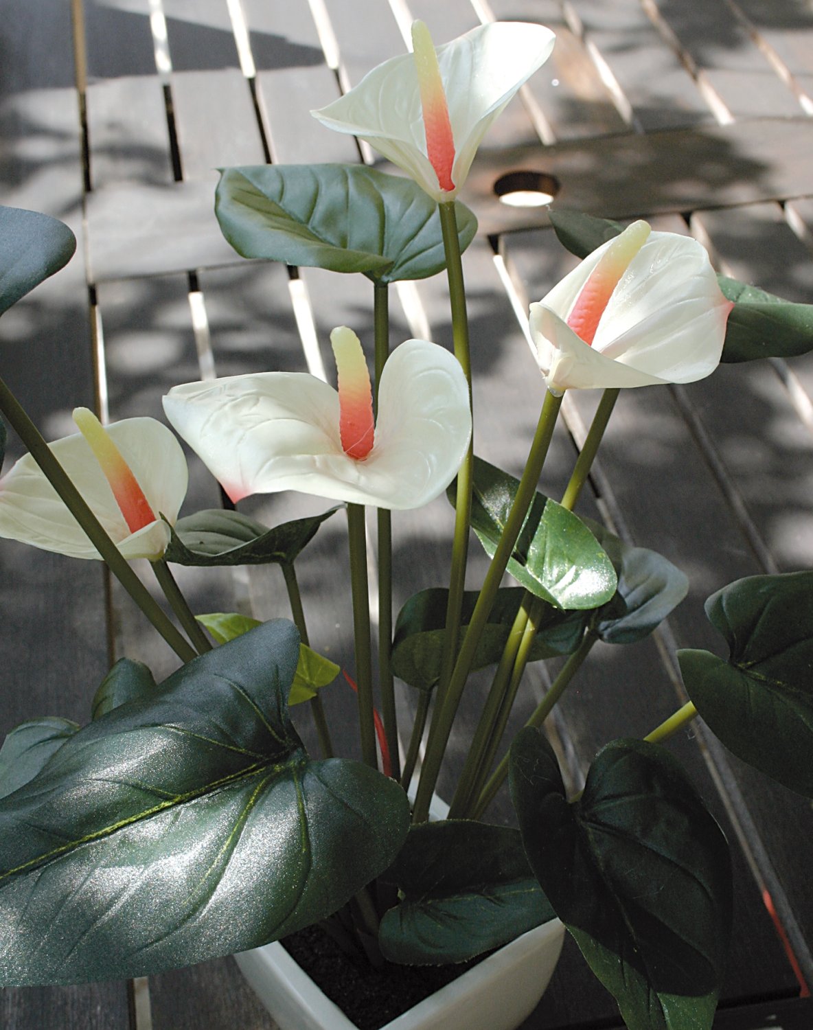 Künstliche Anthurium, getopft, 39 cm, weiß-rosa