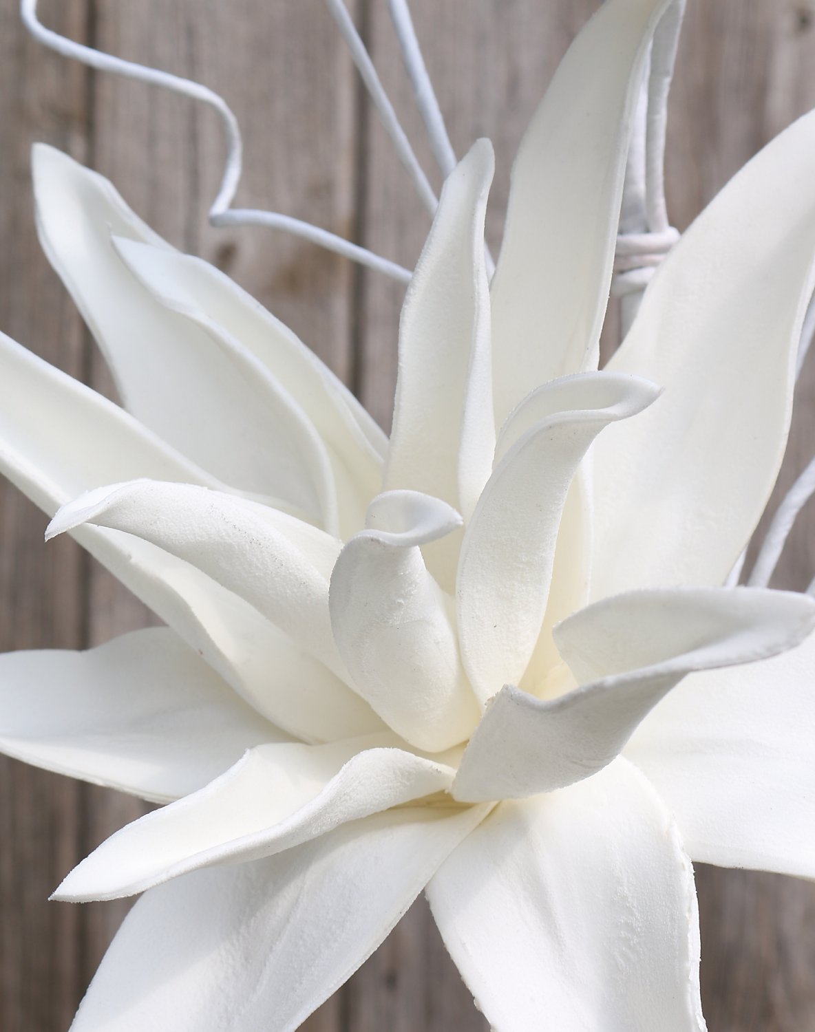 Künstlicher Soft flower 'Blütenzweig', 2 Blüten, 105 cm, weiß