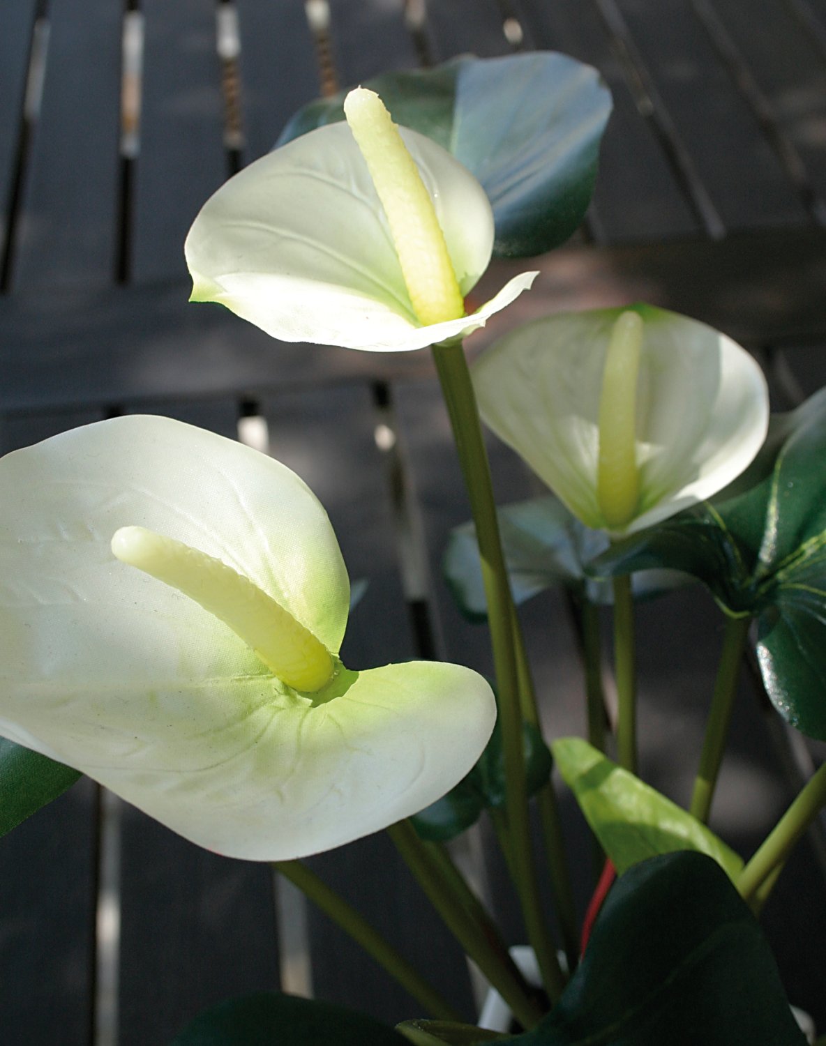 Künstliche Anthurium, getopft, 39 cm, weiß