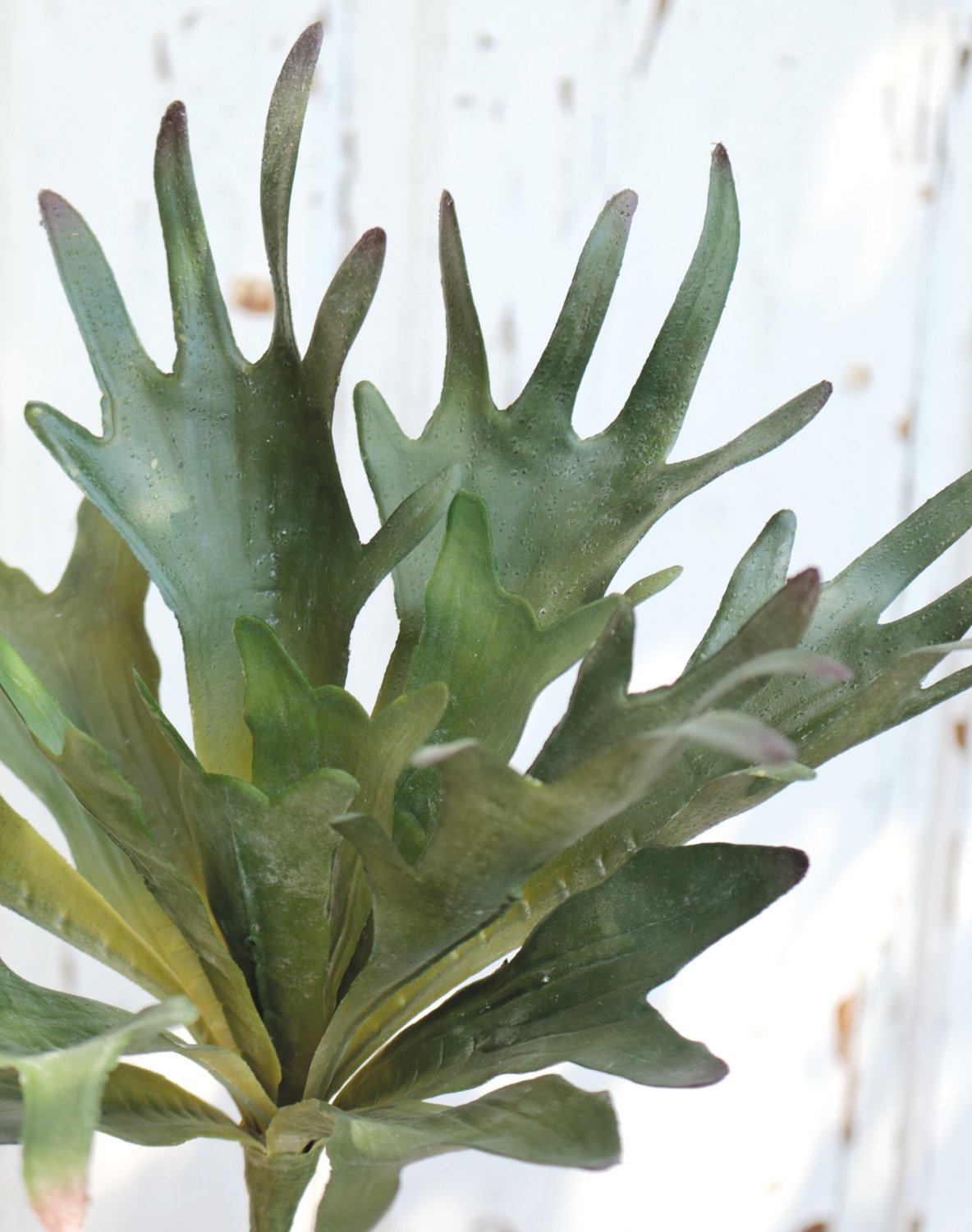 Artificial staghorn fern, 28 cm, green