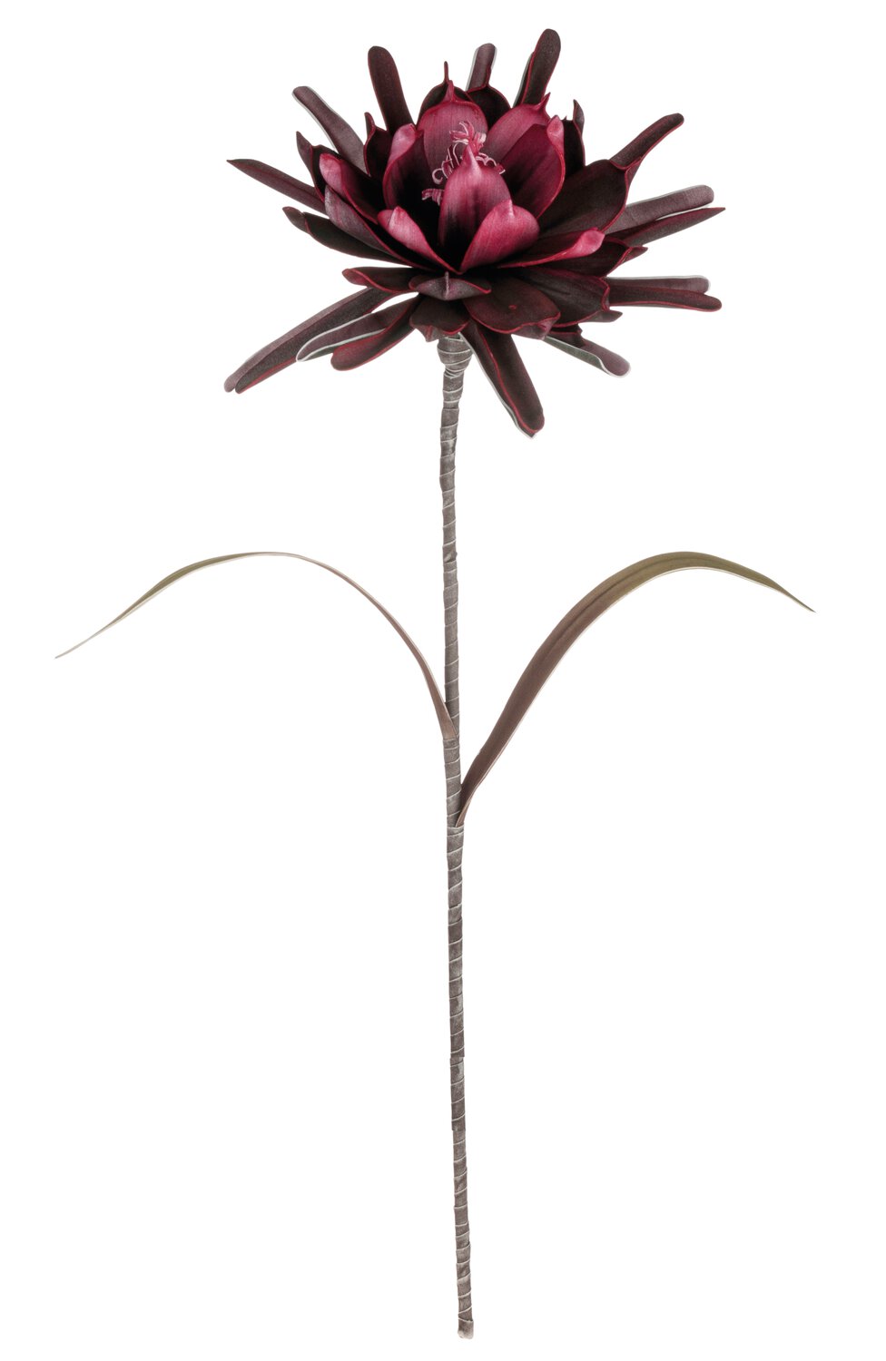 Deko Soft flower 'Kaktusblüte', 90 cm, burgunder-schwarz