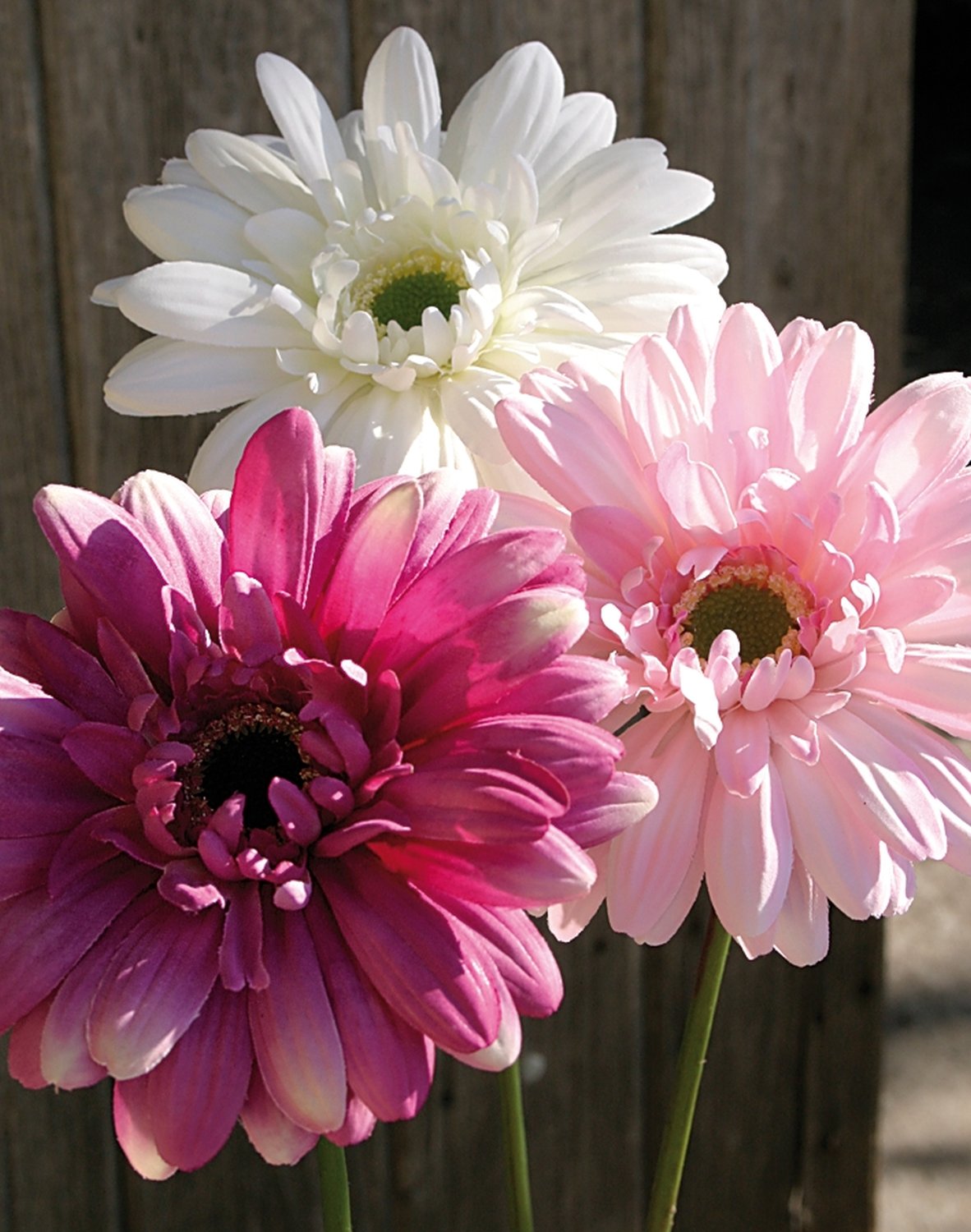 Künstliche Gerbera mit beflocktem Stiel, 55 cm, rosa-weiß