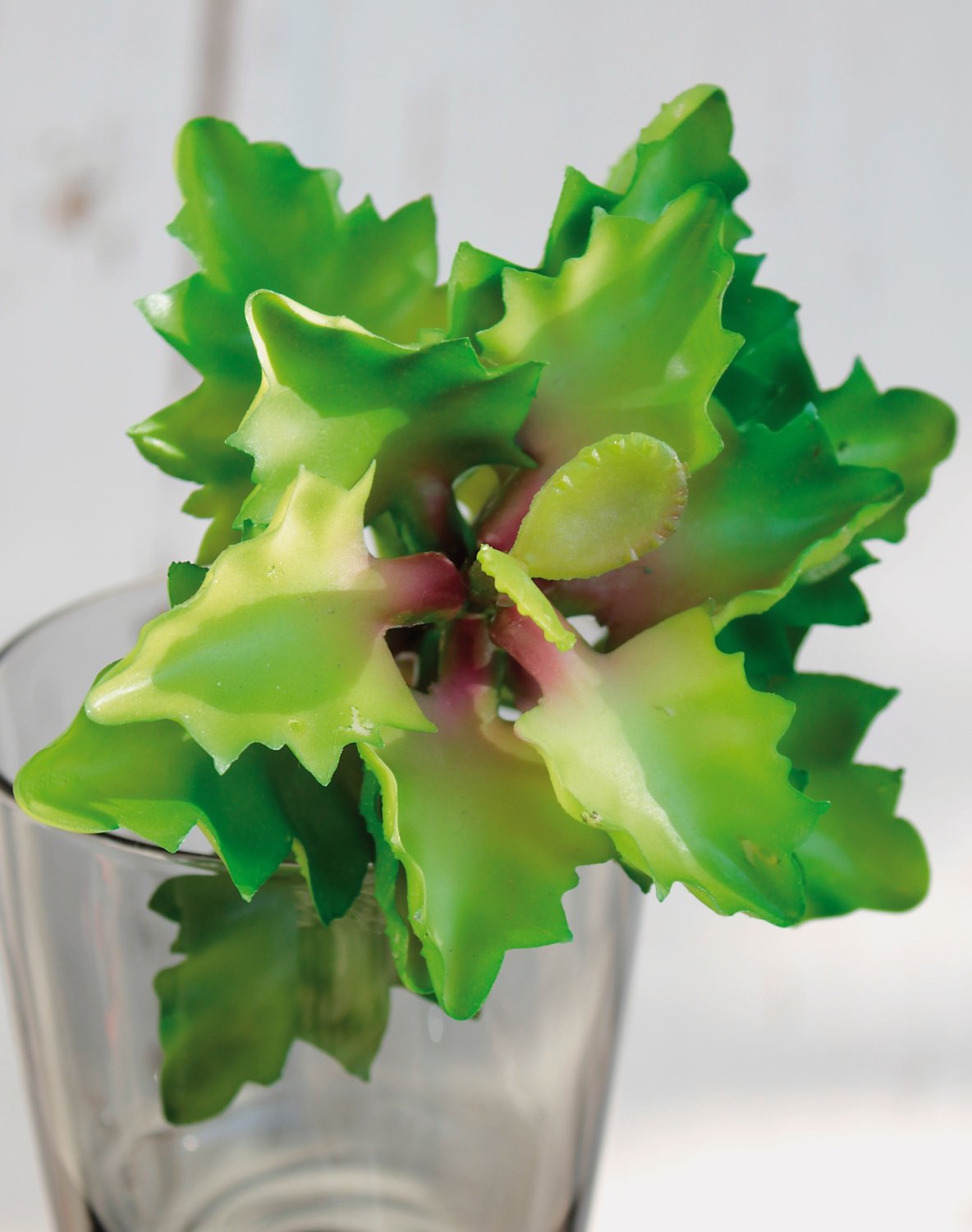 Succulent fake plants on stick, 12 cm, Ø 12 cm, green