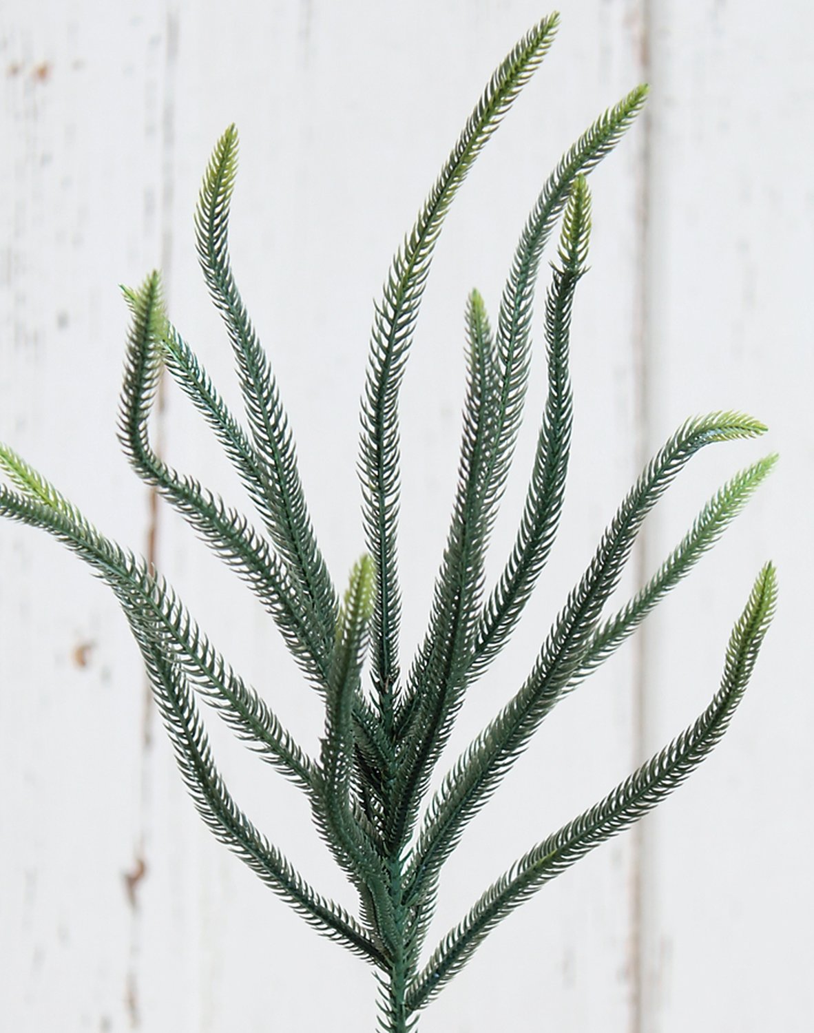 Künstliche Pinacea, 70 cm, grün