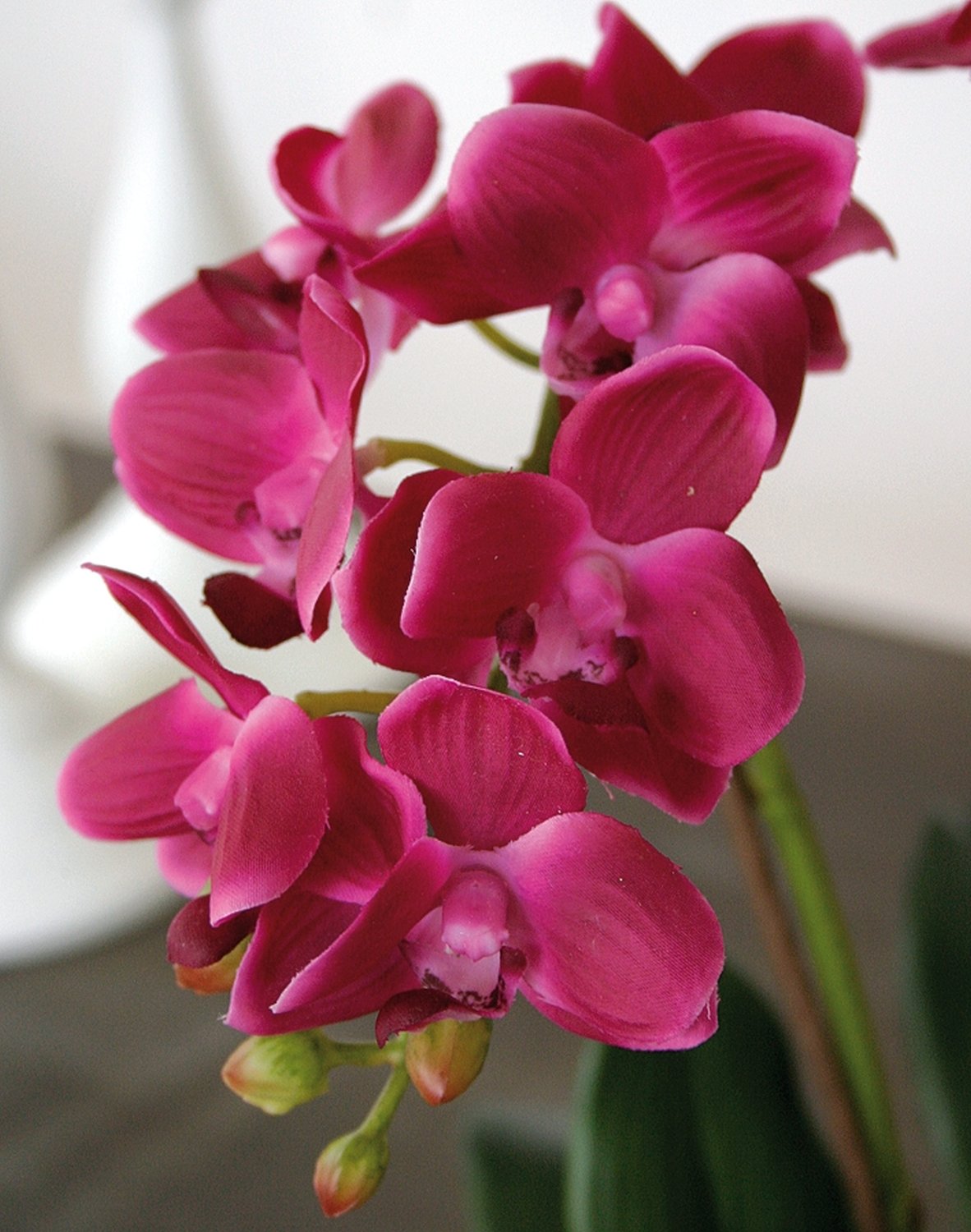 Plastic orchid Phalaenopsis, 3-fold, in bowl, 38 cm, real touch, cerise